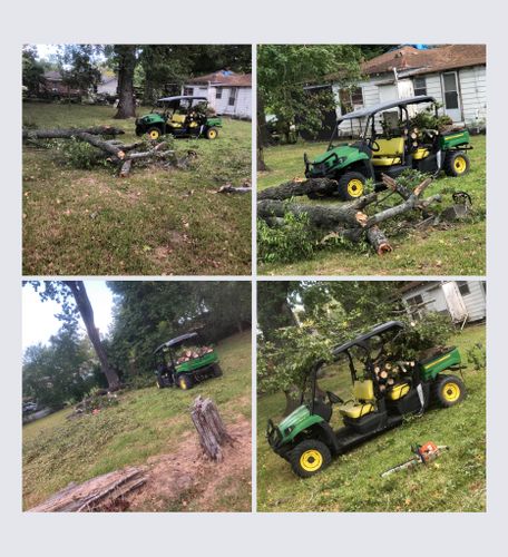 Tree Removal for Outlaw Landscaping & Transport Company in Houston, TX