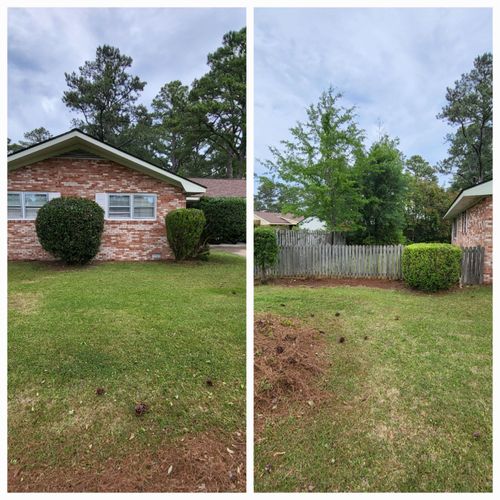 Hedge Work for Heroy's Lawn Services in Jacksonville, North Carolina