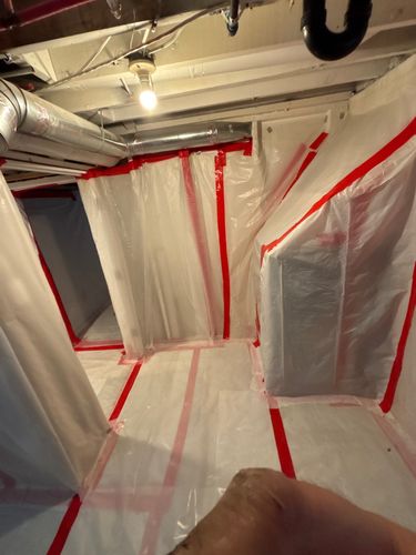 Mold Remediation for ACM Environmental in Salt Lake City, UT