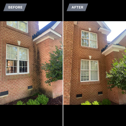 Before and After for Coastline Services  in Chesapeake, VA