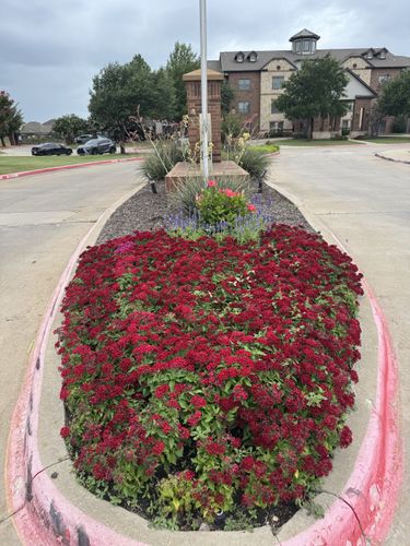 Seasonal color changes for Guerrero's Landscape in Fort Worth,  TX