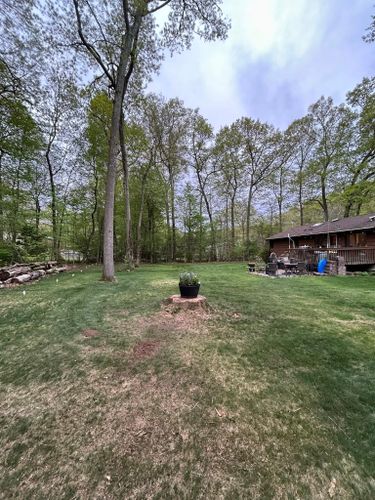 Dead Limb Removal for DC TREE in Vernon, CT