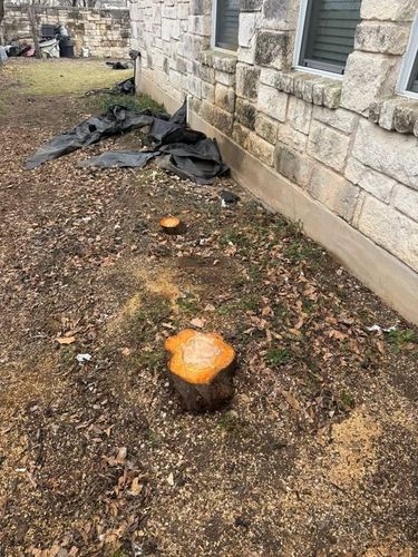 Tree Removal for Oakley’s Stump ‘N Grind in Leander, TX