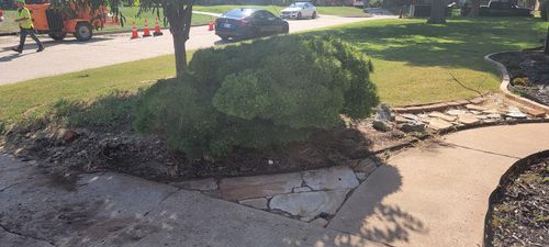 Shrub Trimming for DeLoera Total Lawncare in Oklahoma City, Oklahoma