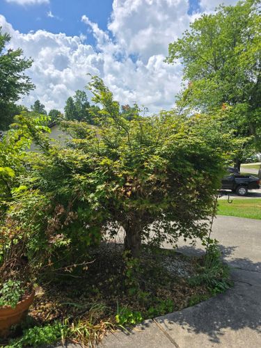  for Williams Lawn and Land in Sharps Chapel, TN
