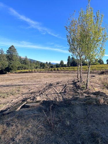  for J. Orozco & Sons Ent in Philo, CA