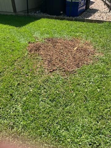  for Camerons Stump Grinding & Tree Services LLC in Austin, TX