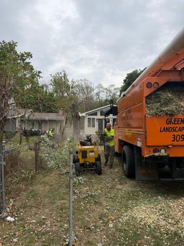 Tree Removal for Greenlee & Family Landscaping Services in Peoria, IL