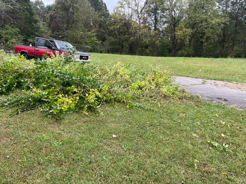 All Photos for The Yard Barbers in Somerset, KY