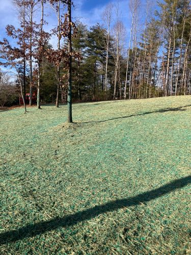 Land Clearing for Gibson Grade Works in Towns County, GA