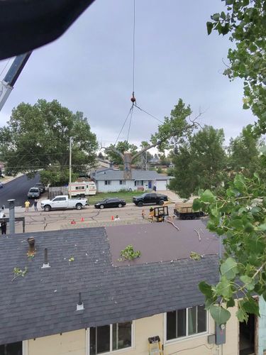 Tree Removal for Elevated Tree Care in Gillette, WY
