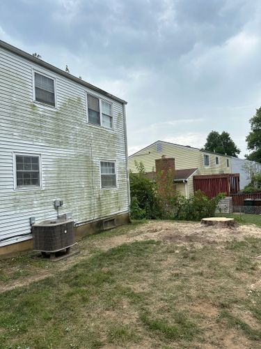 All Photos for Pro Tree Trim & Removal, Llc in Dayton, OH