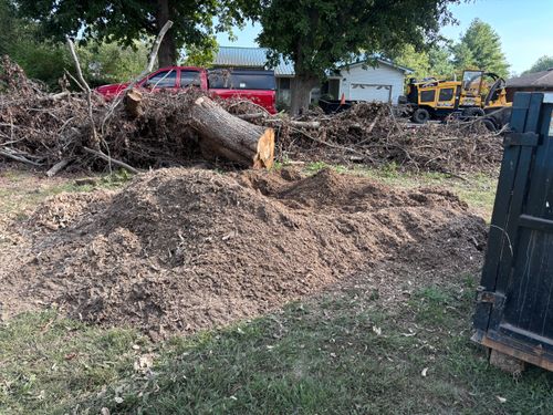 Stump Removal for Conrad's Stump Removal in Columbus, IN
