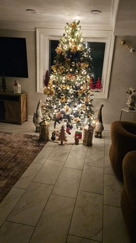  for Supreme Construction Services in Livonia,  MI