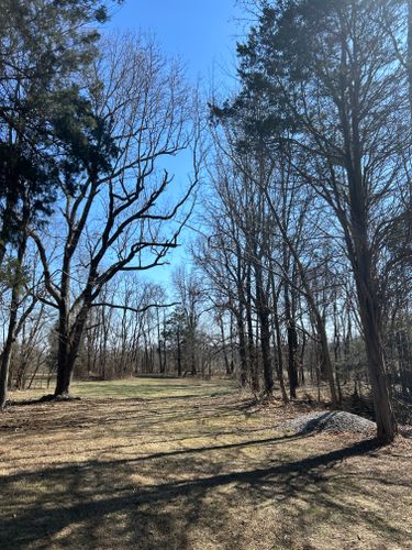 Fall Clean Up for Optimum Tree Service And Landscaping in Bowling Green, KY