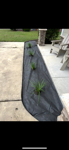 All Photos for New Creation Landscaping in Myrtle Beach, SC