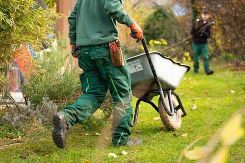 Tree Services for Ludlows Services in Clermont, FL