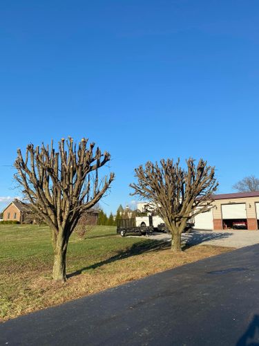 Fall and Spring Clean Up for Atwood’s Tree Care in Liberty,  KY