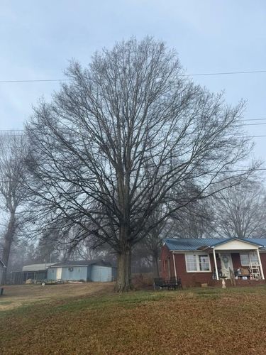 Tree Trimming for Down South Tree Care and Landscaping in Maiden, NC