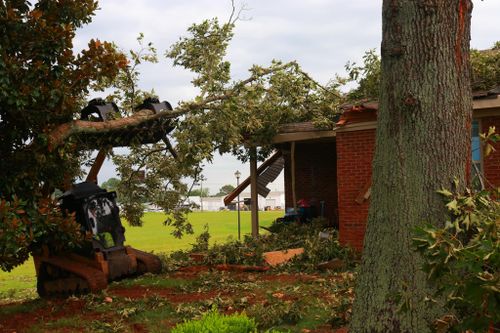 Storm Services for Mud Creek Vegetation Management in Russellville, AL