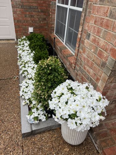 Landscape Install for Guerrero's Landscape in Fort Worth,  TX