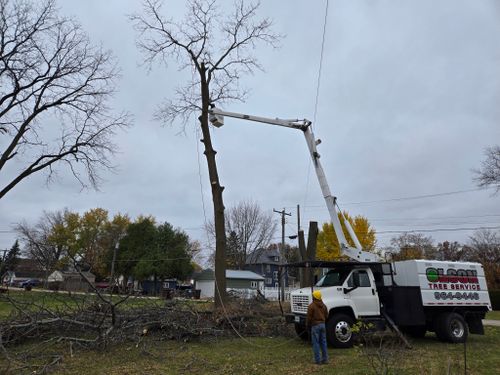 Tree Removal for Olson Tree Service, Inc in Winnebago County, IL