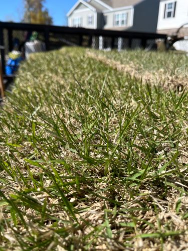 All Photos for New Creation Landscaping in Myrtle Beach, SC