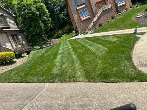 Lawn Mowing for Tr3s Brothers Creations Landscaping in Pittsburgh, PA