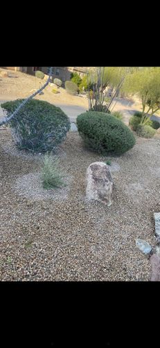 Shrub Trimming for Vaquero X Landscape LLC in Queen Creek, AZ