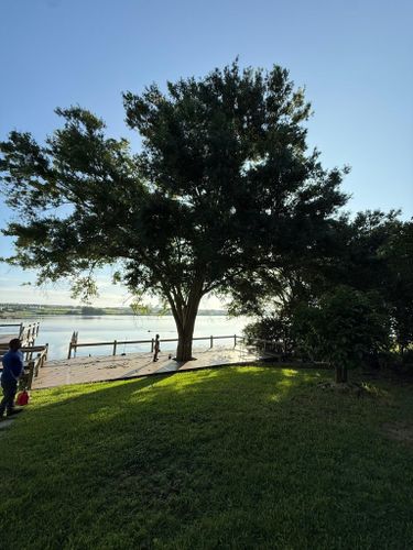  for New Era Lawn Care & Landscaping in Lakeland,  FL