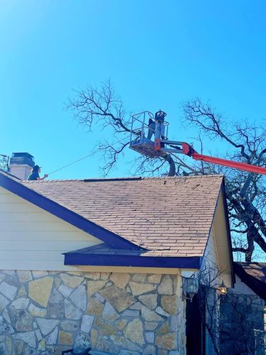 Tree Removal for Superior Lawn and Tree LLC in Clifton, TX