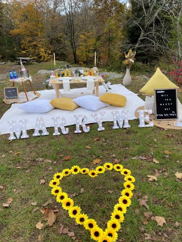 Proposals for Pink Tree Picnic in Bethel, CT