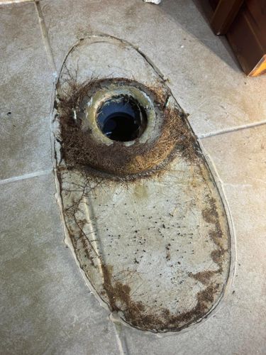 Drain Cleaning for PLUMBX in Inver Grove Heights, MN