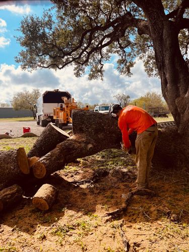 Tree Removal for Braun Tree Service  in Floresville, Texas