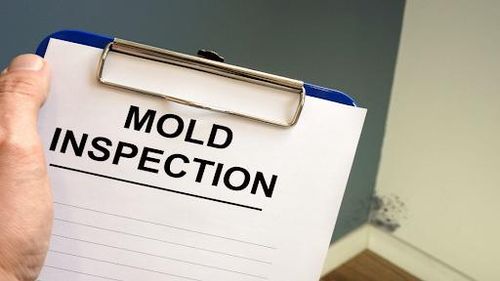 Commercial Mold Removal for Titan Remediation Industries in West Palm Beach, FL