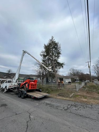 Tree Trimming for Chipper's Tree Service  in Fort Payne, AL
