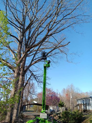 Tree Trimming for Backwoods Tree Experts in Vale, NC