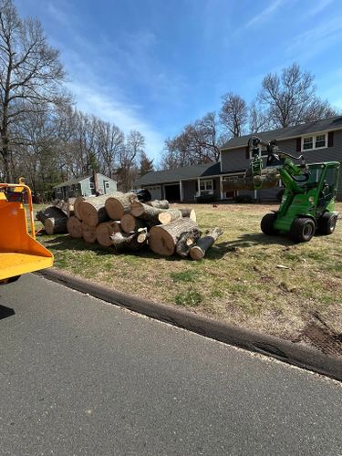 Tree Removal for DC TREE in Vernon, CT