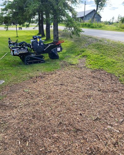 Stump Grinding for Bear Creek Tree Service LLC in Rudyard, MI