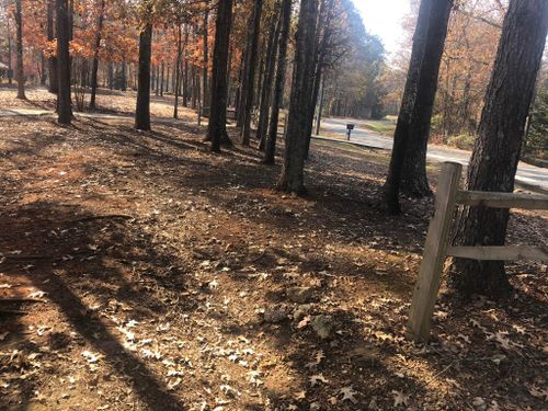 Fall and Spring Clean Up for Battle Lawn Maintenance in Eatonton, GA