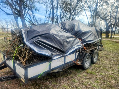 All Photos for Lavon Lawn Plus in Lavon, TX