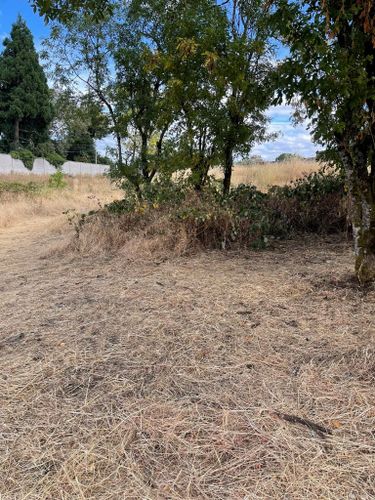 Excavation for JW&SON in Springfield, OR