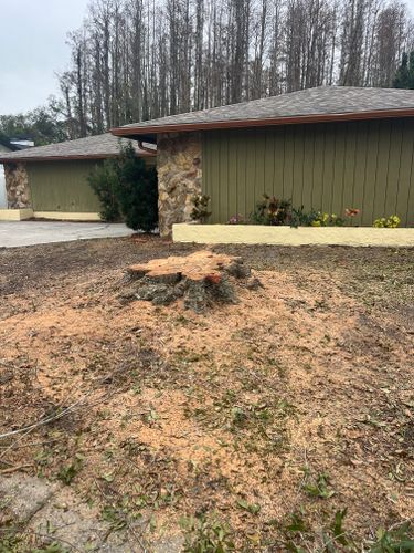  for KB’s Stump Removal in Seminole, FL