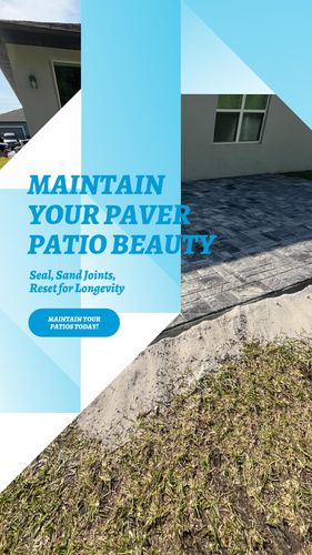 Tree Services for Ludlows Services in Clermont, FL