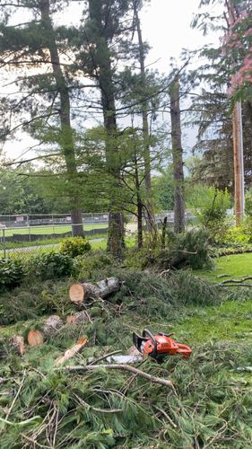 All Photos for Gray's Tree Service Inc in Maurertown, VA