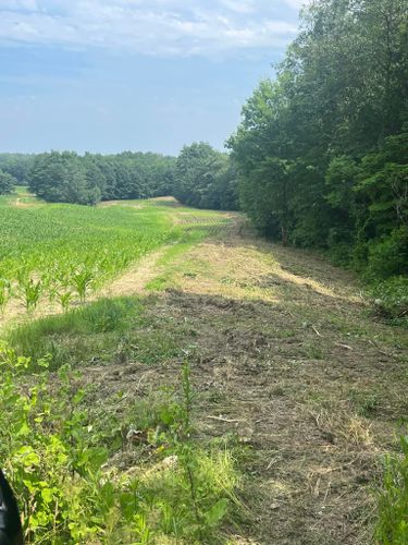 Site Preparation for Shufelt Excavation & Forestry Mulching in Gray, ME