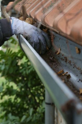 Gutter Cleaning for Greenlee & Family Landscaping Services in Peoria, IL