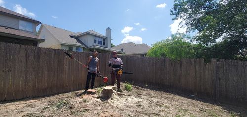 Stump Removal for Chavez Lawn & Tree Services LLC in San Antonio, TX