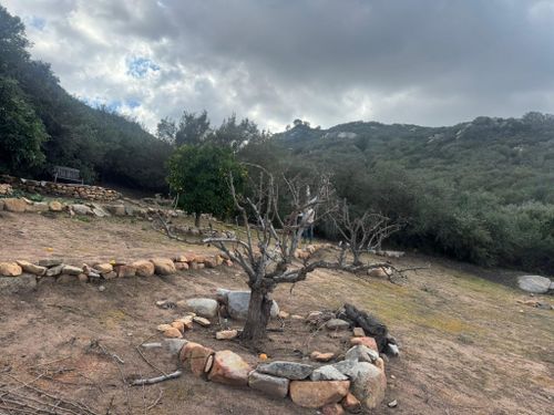 Property Beautification for The Tree Fairy in Julian, CA
