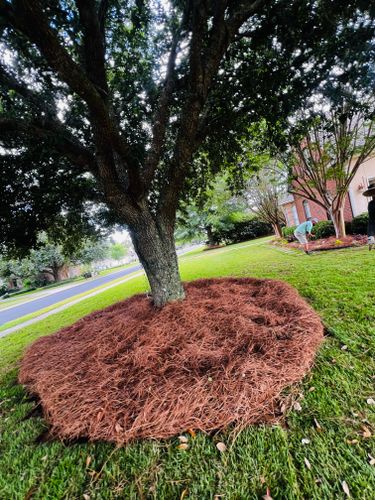  for Enhanced Landscape in Daphne, AL